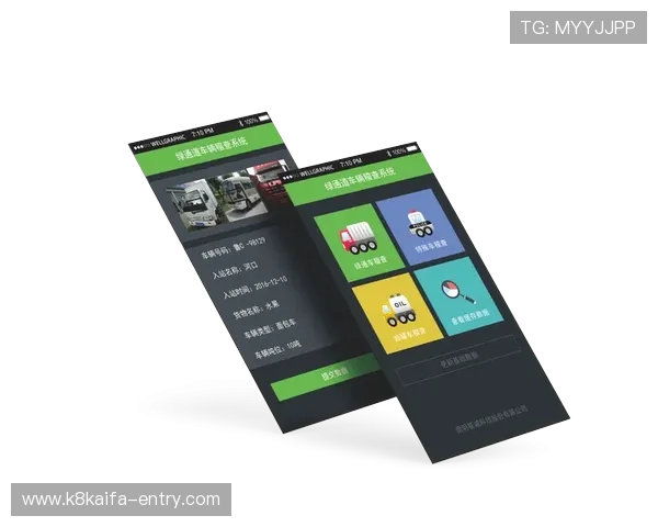 深入分析凯发登录的技术背景与运营模式